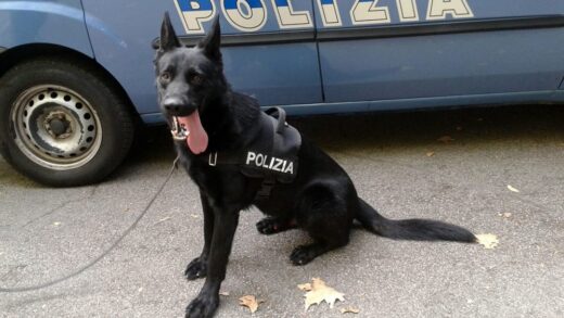 cane antidroga polizia di stato