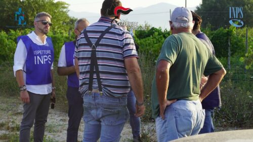 INPS. Servizio di vigilanza straordinaria in agricoltura 