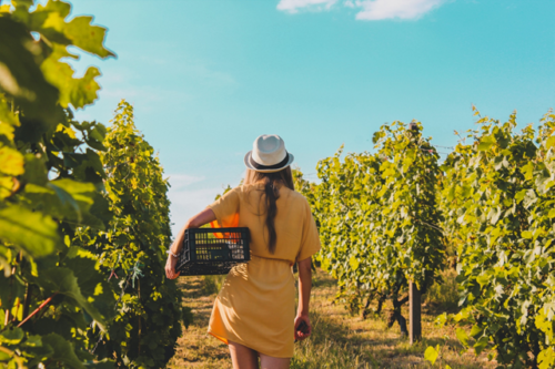 Nuove opportunità lavorative grazie al Turismo Esperienziale